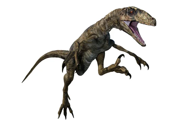 Beyaz Arka Planda Izole Edilmiş Bir Dinozor Deinonychus Antirrhopus Boyutlu — Stok fotoğraf