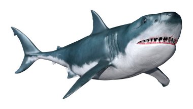 Beyaz arka planda izole edilmiş büyük beyaz köpekbalığının 3 boyutlu görüntüsü