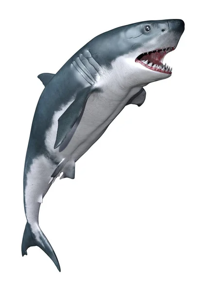 Rendering Eines Großen Weißen Hais Isoliert Auf Weißem Hintergrund — Stockfoto