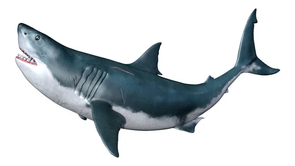 白い背景に隔離された大きな白いサメの3Dレンダリング — ストック写真