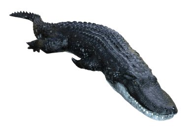 Beyaz arkaplanda izole edilmiş siyah bir timsahın 3B görüntülemesi