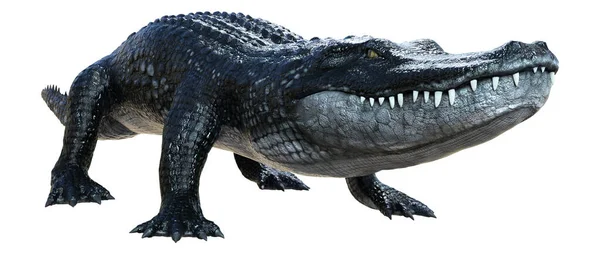 Rendering Black Alligator Isolated White Background — Stock Photo, Image