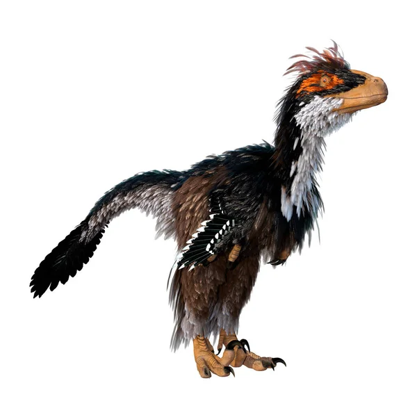 在白色背景下分离的恐龙Deinonychus Antirhopus的3D绘制 — 图库照片