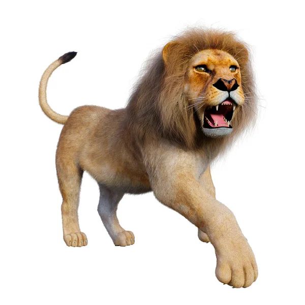 Återgivning Manlig Lejon Isolerad Vit Bakgrund — Stockfoto