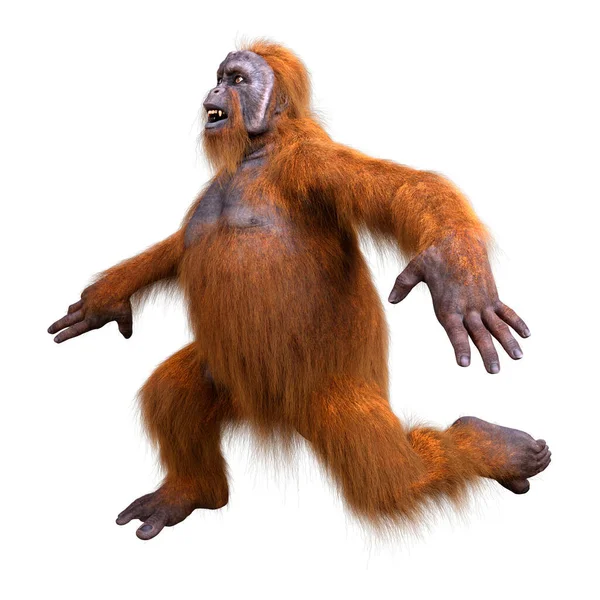 Rendering Orangutan Ape Isolated White Background — Stock Photo, Image