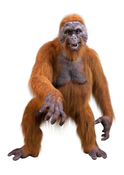 Rendering Eines Orang Utans Isoliert Auf Weißem Hintergrund — Stockfoto