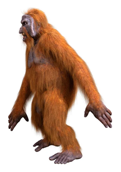 Renderização Macaco Orangotango Isolado Fundo Branco — Fotografia de Stock