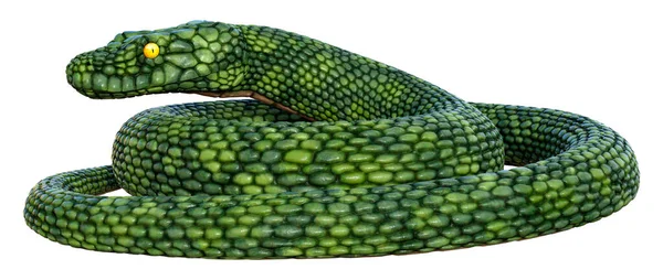 Rendering Einer Grünen Riesenfantasie Schlange Isoliert Auf Weißem Hintergrund — Stockfoto