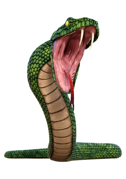 Renderização Uma Cobra Fantasia Gigante Verde Isolado Fundo Branco — Fotografia de Stock