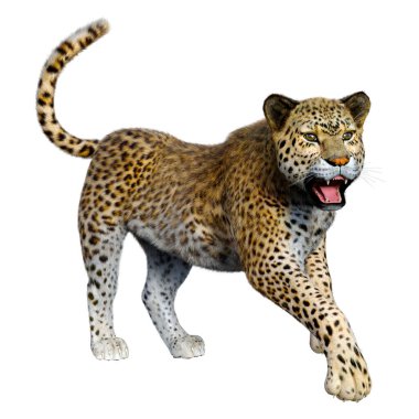Beyaz arka planda izole edilmiş büyük bir kedi leoparının 3B görüntüsü