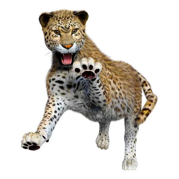 Vykreslení Velkého Kočičího Leoparda Izolovaného Bílém Pozadí — Stock fotografie