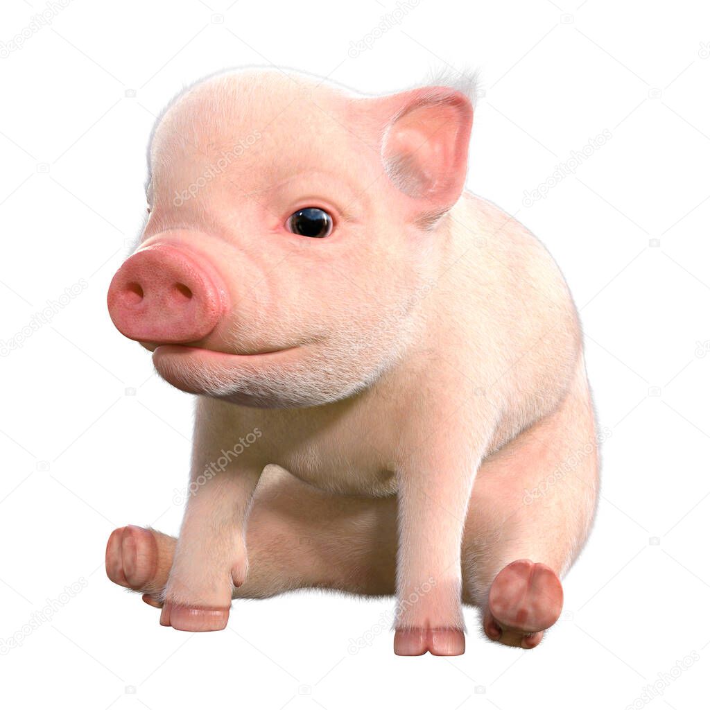 3D rendering of a cute pink piglet isolated on white background