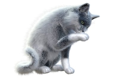 Beyaz arka planda izole edilmiş evcil bir kedinin 3 boyutlu canlandırması