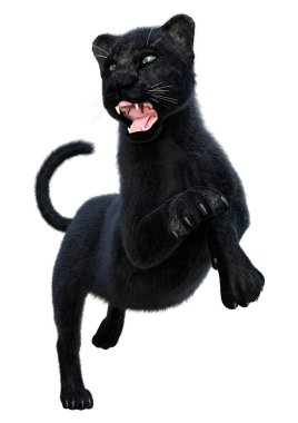 Beyaz arka planda izole edilmiş büyük bir kedi siyah panterinin 3 boyutlu görüntüsü