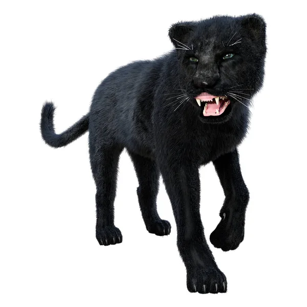 Візуалізація Великої Чорної Котячої Пантери Ізольовано Білому Тлі — стокове фото