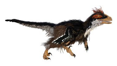 Beyaz arka planda izole edilmiş bir dinozor Deinonychus Antirrhopus 'un 3 boyutlu canlandırması