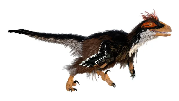 白い背景に孤立した恐竜Deinonychus Antirhopusの3Dレンダリング — ストック写真