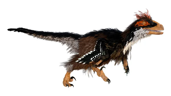 Deinonychus Royalty-Free Images, Stock Photos & Pictures