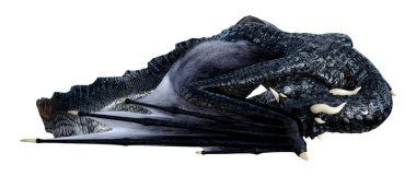 Beyaz arka planda izole edilmiş bir fantezi ejderhanın 3 boyutlu canlandırması