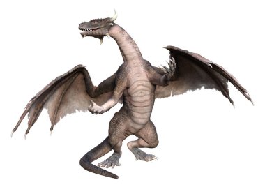 Beyaz arka planda izole edilmiş bir fantezi ejderhanın 3 boyutlu canlandırması