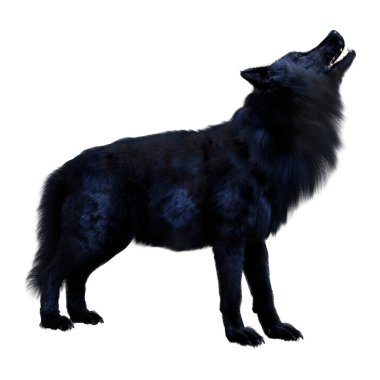 Beyaz arkaplanda izole edilmiş bir siyah kurdun 3D görüntüsü