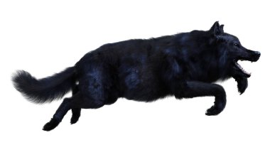 Beyaz arkaplanda izole edilmiş bir siyah kurdun 3D görüntüsü