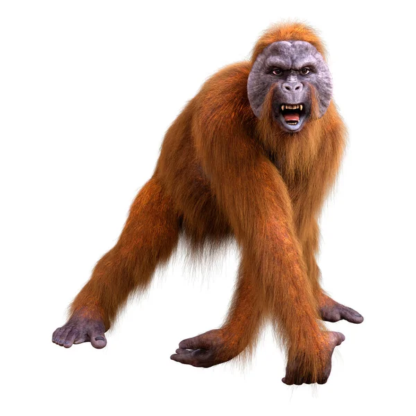 Rendering Eines Orang Utans Isoliert Auf Weißem Hintergrund — Stockfoto