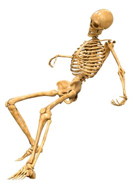 Beyaz arkaplanda izole edilmiş bir insan iskeletinin 3 boyutlu görüntülenmesi
