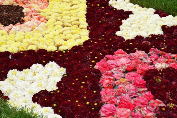 Alfombra Flores Bruselas Grand Place Hecha Bulbos Flores Frescas Bélgica —  Fotos de Stock