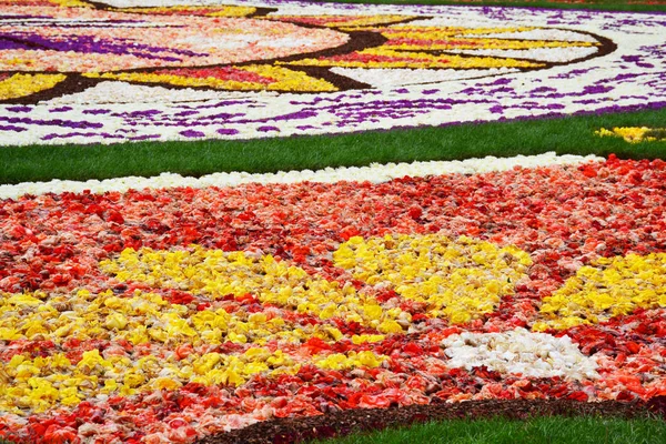 Alfombra Flores Bruselas Grand Place Hecha Bulbos Flores Frescas Bélgica — Foto de Stock