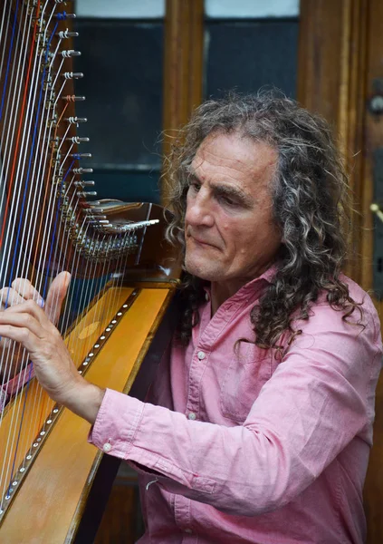 Bruselas Bélgica Agosto 2018 Hombre Tocando Arpa Grand Place Bruselas — Foto de Stock