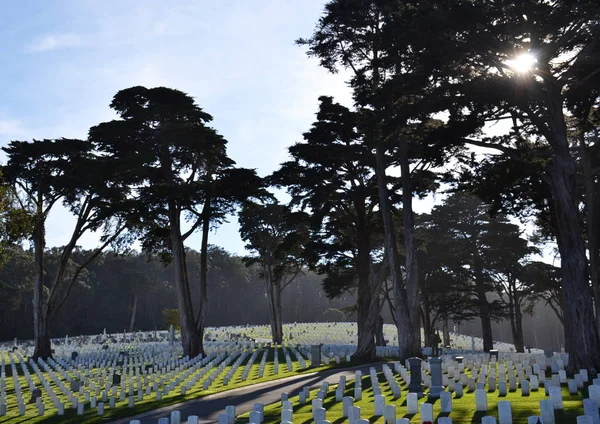 San Francisco Cemetery Graveyard — Stock Photo, Image