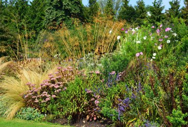 Cambridge, İngiltere 'de yaz manzarası