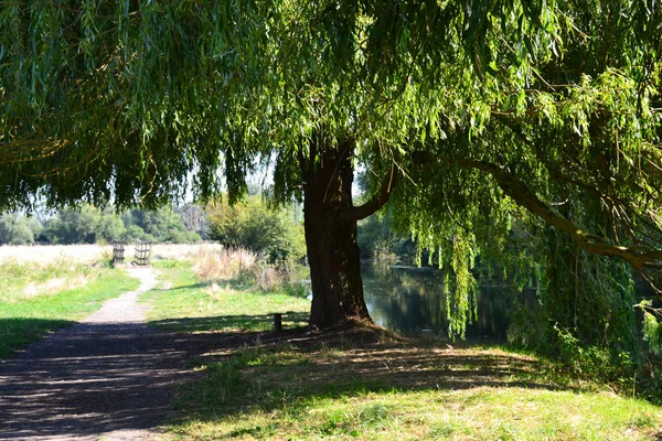 Cambridge 'den Grantchester' a kırsal yol