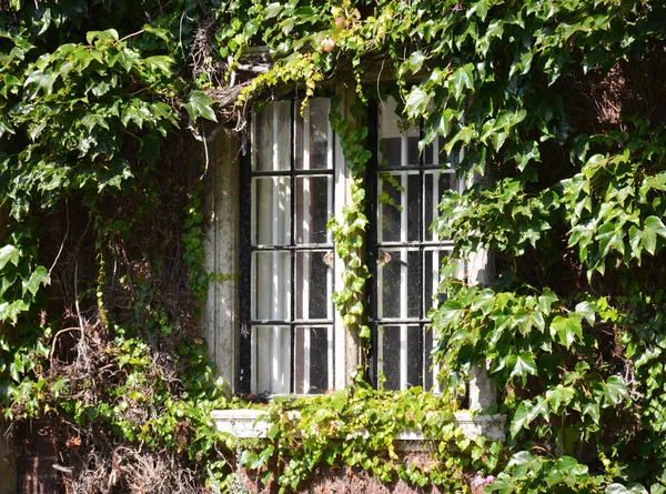 Старое Окно Английского Дома — стоковое фото