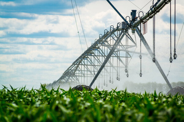 An irrigation pivot watering a field, beautiful view