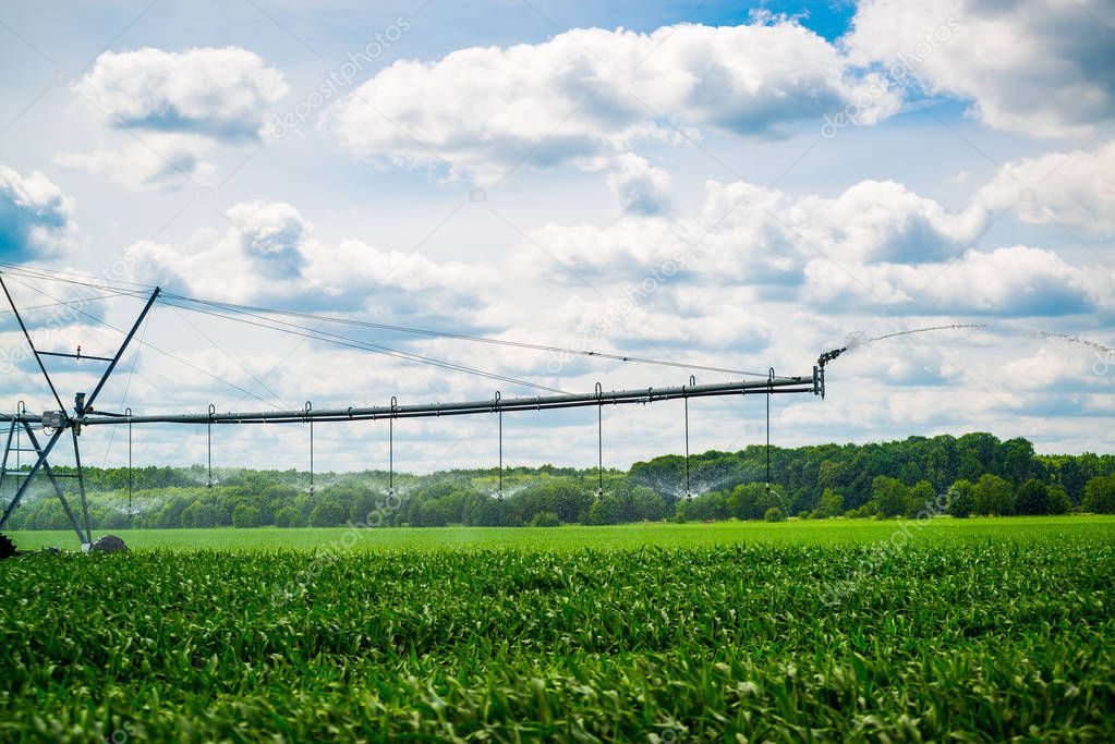 An irrigation pivot watering a field, beautiful view