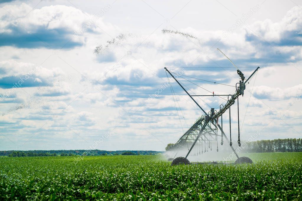An irrigation pivot watering a field, beautiful view