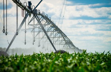 bir sulama pivot alan sulama