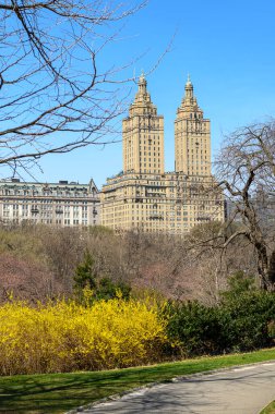 Central Park 'ın manzaralarını keşfet. Central Park 'ta parlak bir bahar günü. Arkasında parlak sarı çiçekler ve tarihi binalar var..