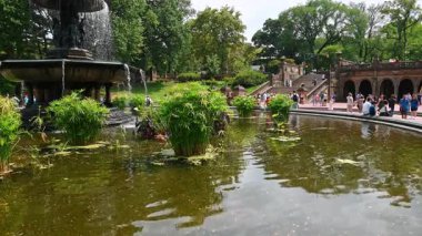 Central Park 'taki yeşillikli Bethesda Çeşmesi. Central Park, New York 'ta, Bethesda Çeşmesi' nin çevresi yemyeşil bitkiler ve turistlerle çevrili..
