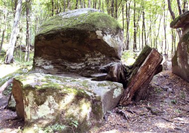 Antik megalitik dolmen, Tuapse, Rusya Federasyonu  