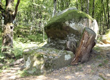 Antik megalitik dolmen, Tuapse, Rusya Federasyonu  