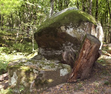 Antik megalitik dolmen, Tuapse, Rusya Federasyonu  