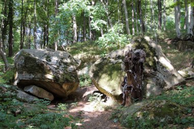 Antik megalitik dolmen, Tuapse, Rusya Federasyonu  