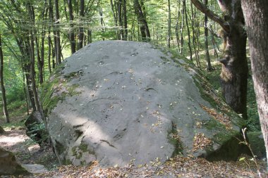 Antik megalitik dolmen, Tuapse, Rusya Federasyonu  