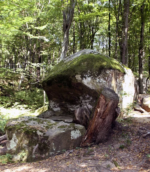 Dolmen Megalítico Antiguo Tuapse Rusia — Foto de Stock