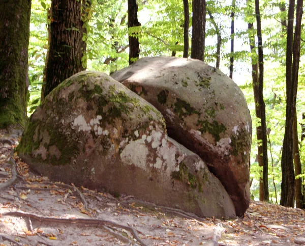 Dolmen Megalítico Antiguo Tuapse Rusia — Foto de Stock