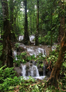 Şelale At Sa Nang Manora Forest Park, Phang Nga Province, Tayland