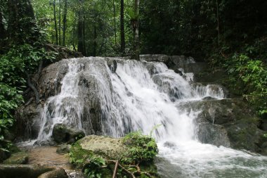 Şelale At Sa Nang Manora Forest Park, Phang Nga Province, Tayland